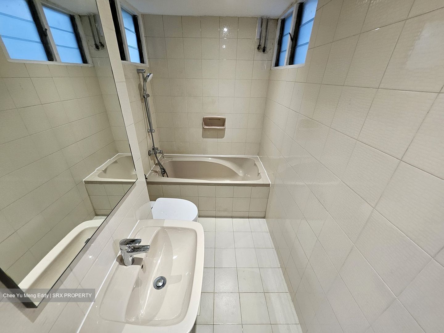 Dunearn Road (D11), Condominium #505033761